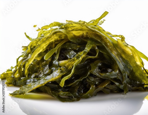 seaweed on a white background isolated