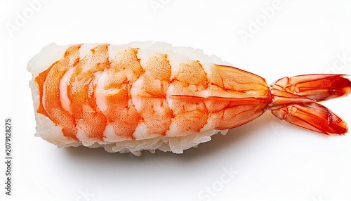 one shrimp nigiri sushi top view on isolated white background