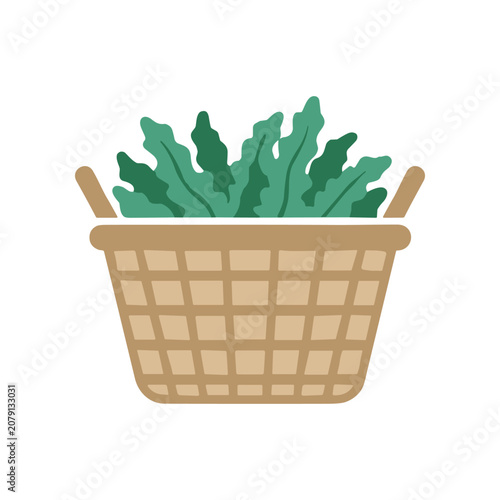 Bild auf Leinwand Wicker basket filled with green lettuce.