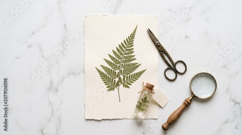 Botanical flatlay featuring pressed fern leaf magnifying glass and scissors on white marble