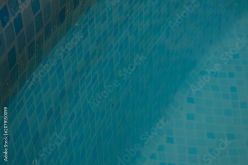 Photography Dirty waterline and scum ring on blue mosaic swimming pool liner, showing algae and dirt build up requiring cleaning maintenance