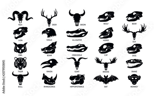 Canvas Print Animal Skulls and Heads Silhouette Collection on White Background Halloween Silh