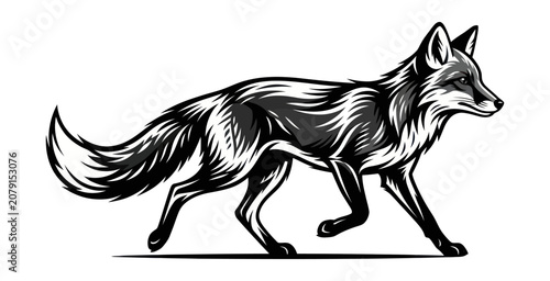 Tableau sur toile Stylized Fox Vector Illustration in High Contrast