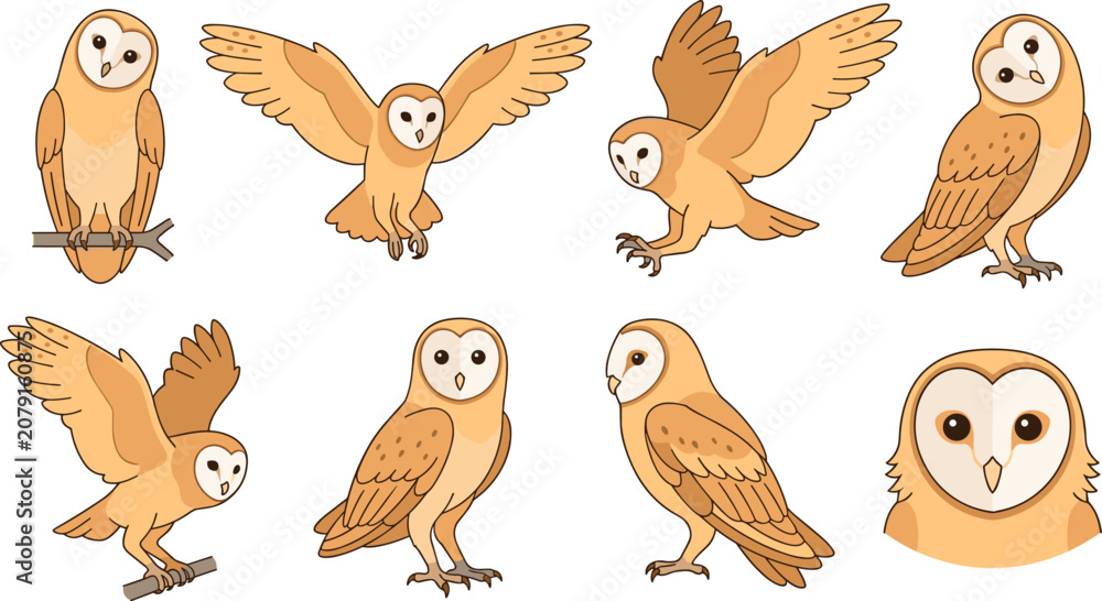Fototapeta premium Owl Cartoon Vector Set with Flying, Perched, Standing, and Sitting Poses for Wildlife and Bird Themed Designs
