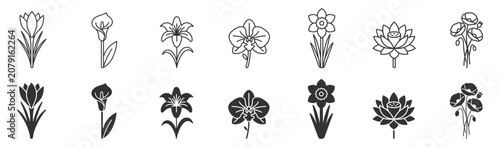 Foto set of line and solid flower icons including crocus calla lily lily orchid daffo