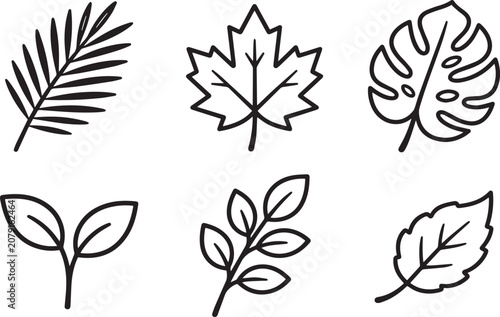 Obraz na plátně Leaf Modern and Premium Icon Set, Featuring maple leaf, monstera, palm frond and