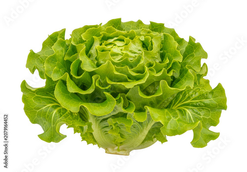 Fotografía Fresh green iceberg lettuce head beautifully presented isolated on transparent b
