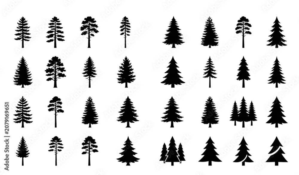 Fototapeta premium Variety of black silhouette pine and fir trees vector collection