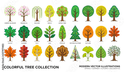 Tableau sur toile Colorful tree collection vector illustration spring summer autumn seasonal trees