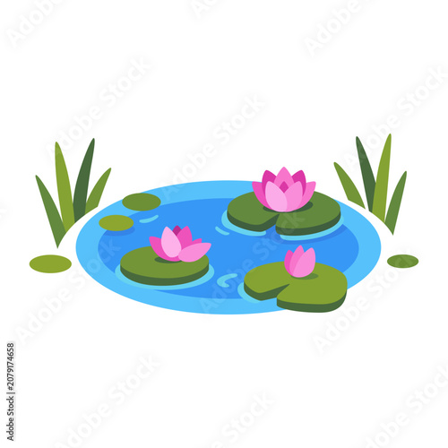 Photography Jungle pond with floating lily pads, three pink water-lily flowers, surrounding