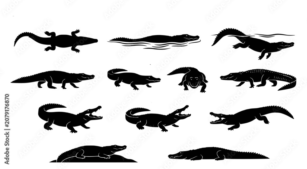 Fototapeta premium Set of black silhouette crocodiles in various poses including swimming and walking isolated on white background for wildlife design project elements vector illustration collection of reptile predators
