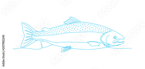 Salmon fish in one continuous line drawing with a clean minimalist style.