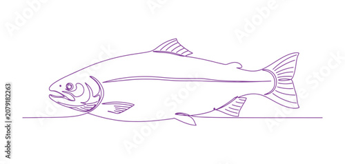 Elegant one-line salmon sketch isolated on a white background.