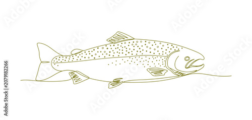 Fresh seafood vector featuring a salmon in continuous line drawing style.