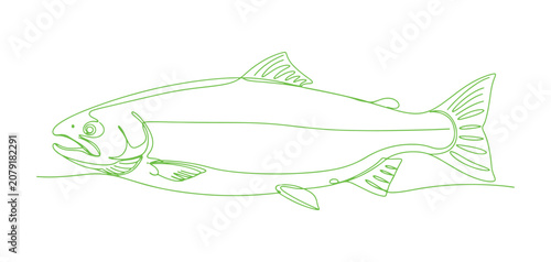 Fresh salmon vector illustration created using a single continuous line.