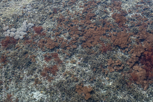 Aerial view close to water surface showing shallow coral reef textures in Raja Ampat Indonesia