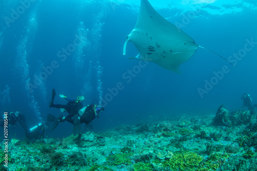 Fotografía Scuba Divers Filming Manta Ray Swimming Above Reef in Raja Ampat Indonesia