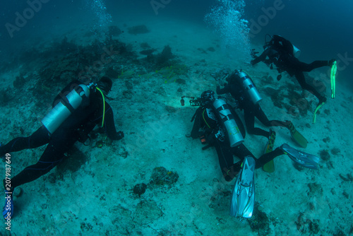 Canvastavla Divers Filming Wobbegong Shark Resting on Ocean Floor in Raja Ampat Indonesia