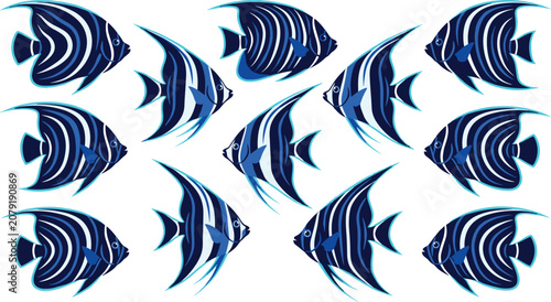 Photos Blue striped angelfish pattern collection set isolated on a white background tro