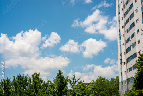 Blue Sky with White Clouds Above Green Trees