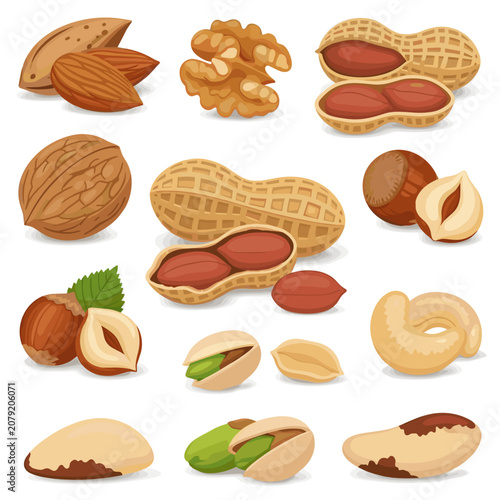 Mixed Assortment of Nuts and Peanuts