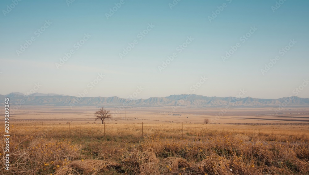 Fototapeta premium Barren landscape with mountains under a clear blue sky