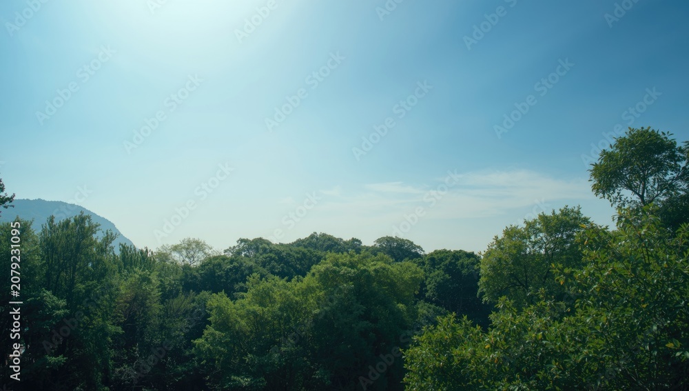 Fototapeta premium Lush green trees under a clear blue sky