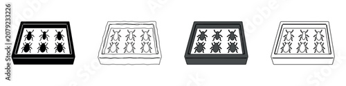Foto Collection of insect specimens displayed in a box, presented in four distinct ic
