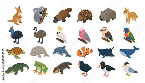 Variety of Wild Animals.