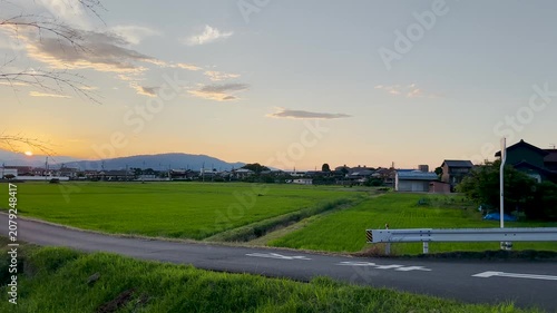 Wide View of Rural Rice Fields and Japanese Countryside