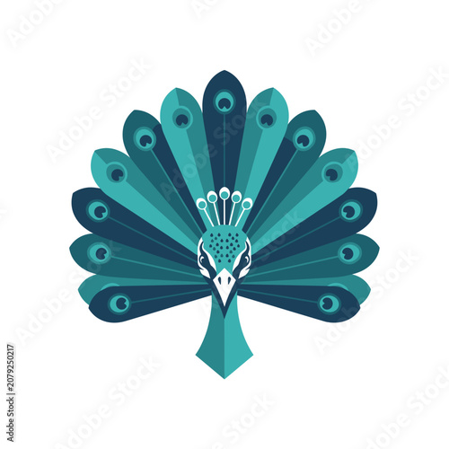 Symmetrical teal peacock icon with feathers fanned out in back