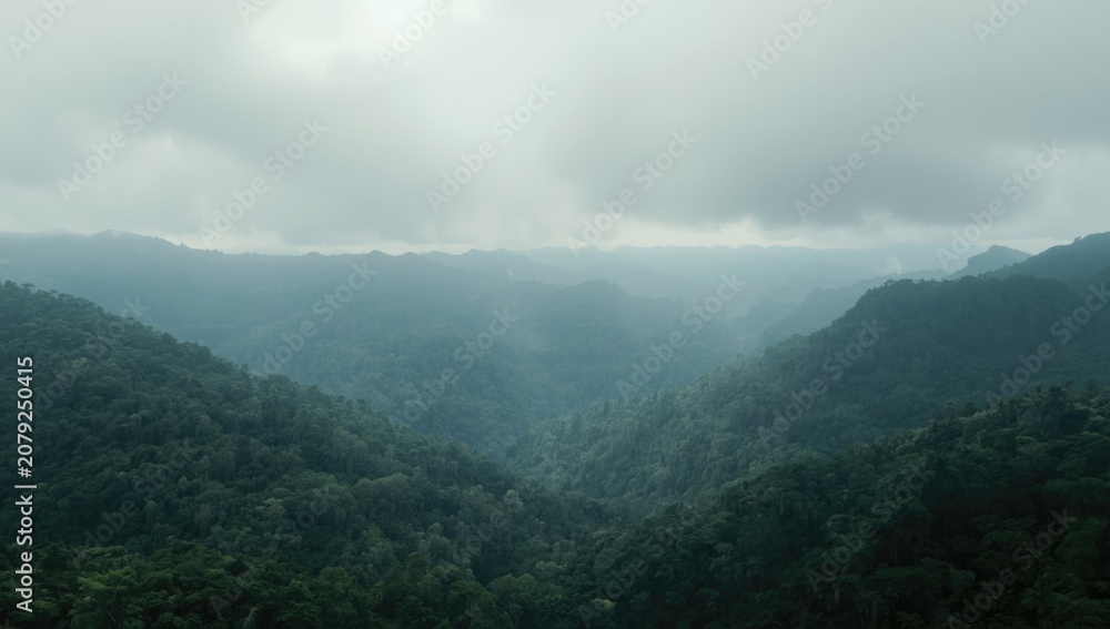 Obraz premium Mist-covered mountain valleys under a cloudy sky