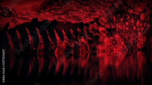 Crocodile Tail In The Water Dangerous Animal
