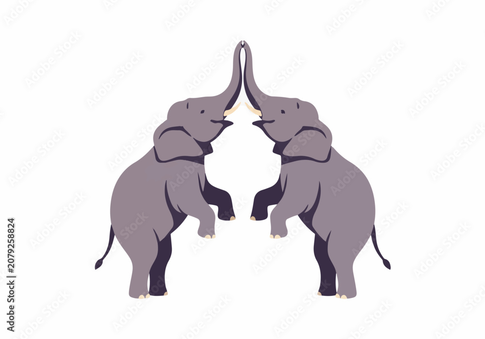 Obraz premium Symmetrical elephants touching trunks in natural setting