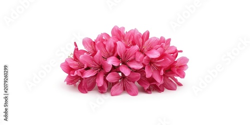 Pink artificial flowers arranged in a decorative cluster