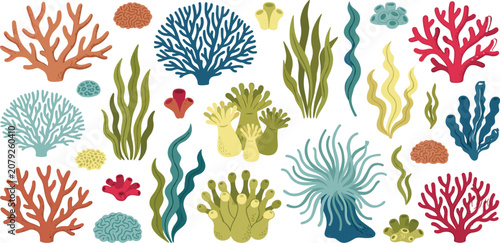 Foto Underwater coral reef vector elements set with colorful sea plants seaweed anemo