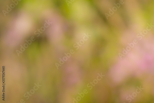 Abstract bokeh background where soft natural light and botanical colors blend together. Overlapping shades of pale pink, green, and yellow create a gentle and dreamy atmosphere. Versatile texture perf