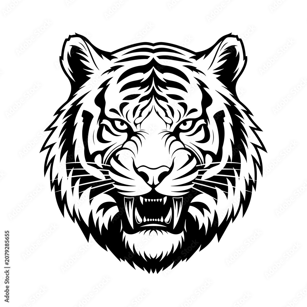 Fototapeta premium Tiger Face Closeup Black White Illustration.