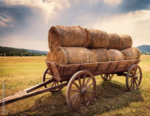 hay bales in a wooden wagon