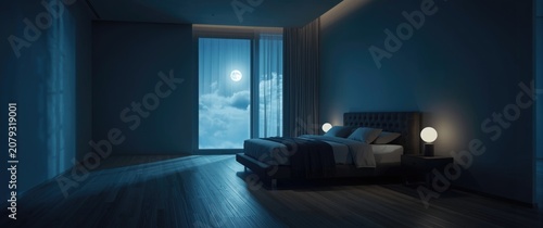 Modern bedroom with moonlig...