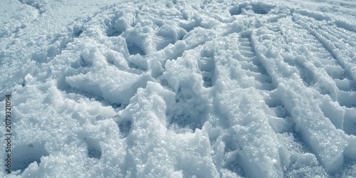 Untouched snow disrupted by...