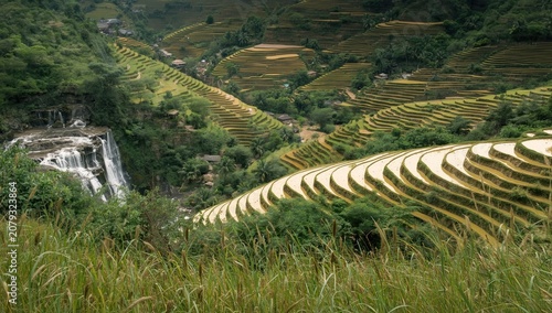 Mountain terraced paddy fie...