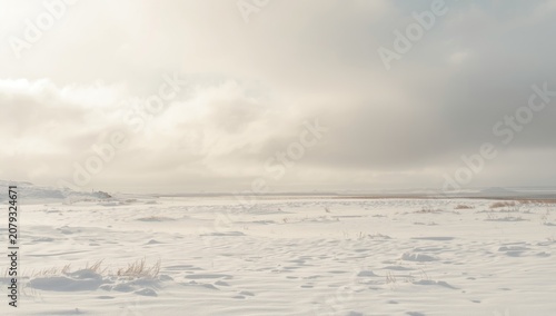 Serene white snow landscape...