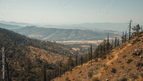 Burnt hillside landscape wi...
