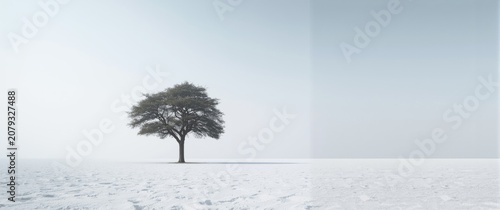 Lone tree in a snowy landsc...