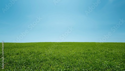 Green grass field under a c...