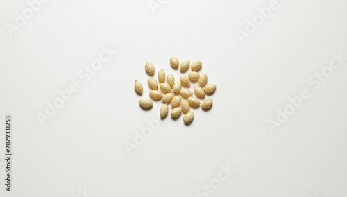 Pale seeds scattered on a w...