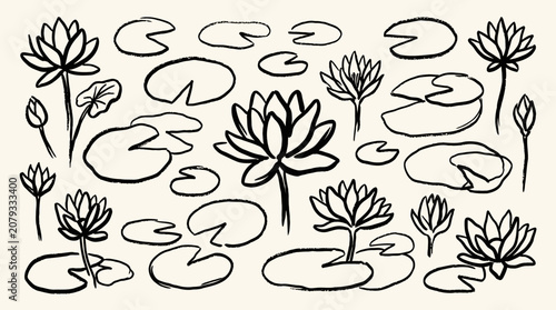 Fotografía Grunge charcoal or chalk drawing of a spring summer flower collection on water l