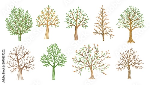 Tree illustrations represen...
