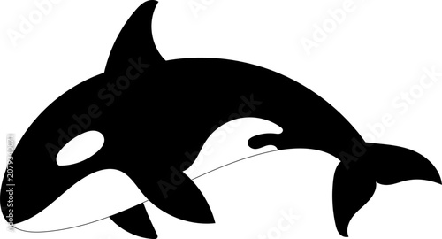 playful orca whale swimming in ocean side view with baby orca black and white marine life aquatic animals natural light clean background copy space modern design resource web banner poster.